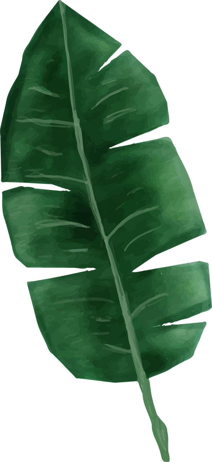 Watercolor Banana Leaf